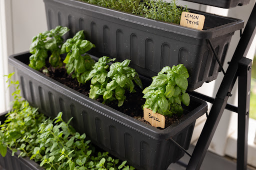 Aarondale Retirement & Assisted Living Community