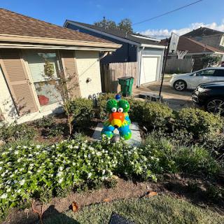 Audubon Care Homes Dreyfous House in Metairie, LA