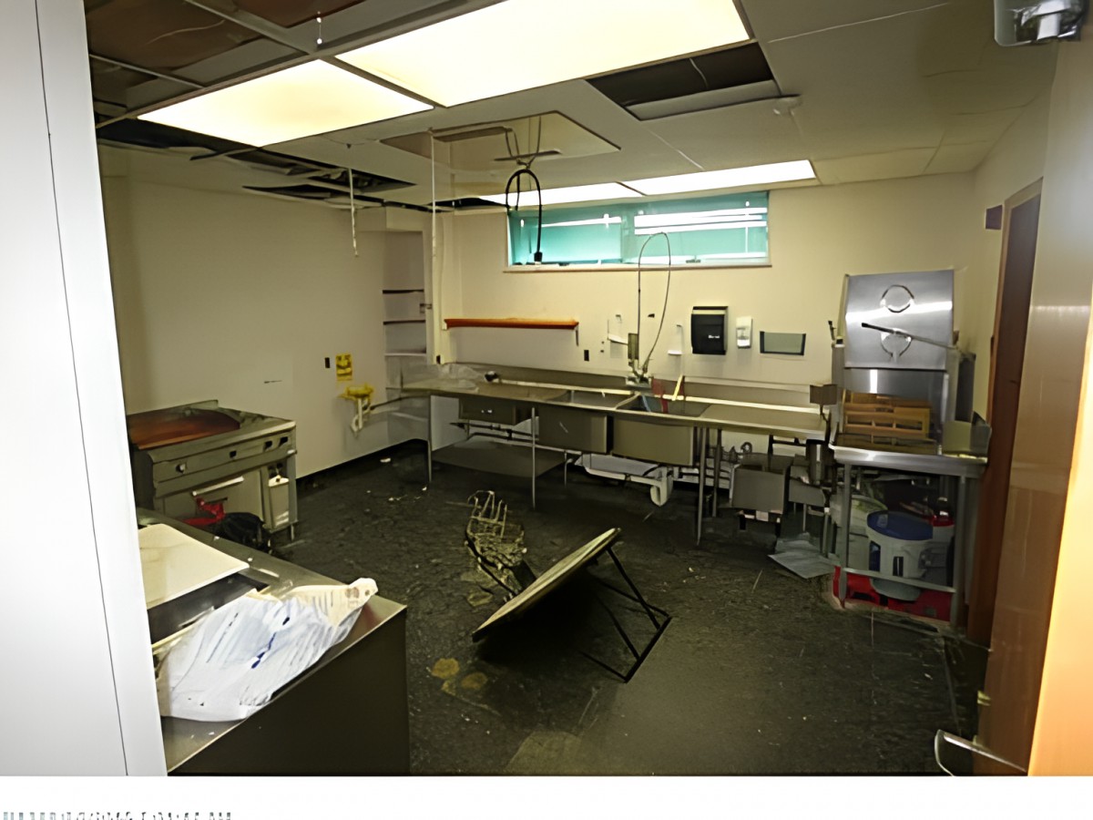 Gallery Photo 10