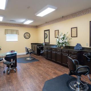 Magnolia Springs Lexington