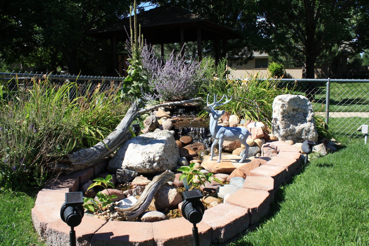 Safe Harbor Assisted Living