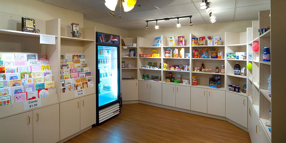 Gallery Photo 7